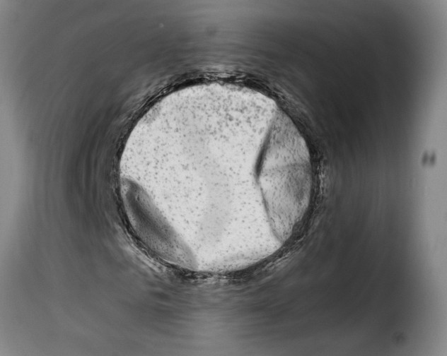 X0000114210961200911201019