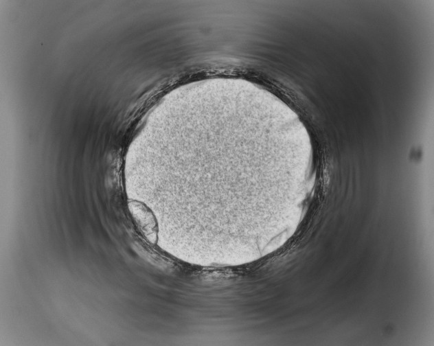 X0000114210964200911201019