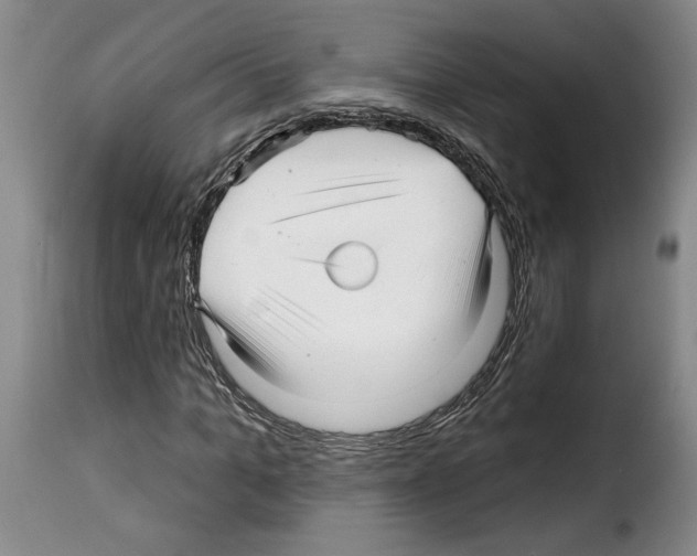 X0000114210965200911201019