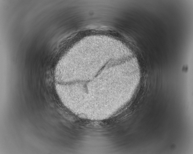 X0000114210966200911201019