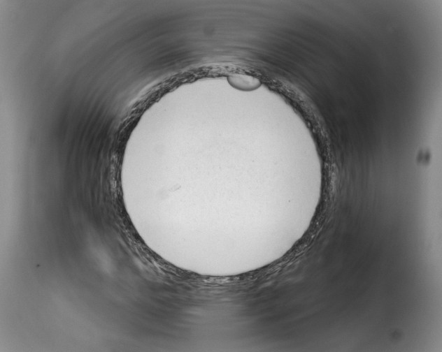 X0000114210968200911201019