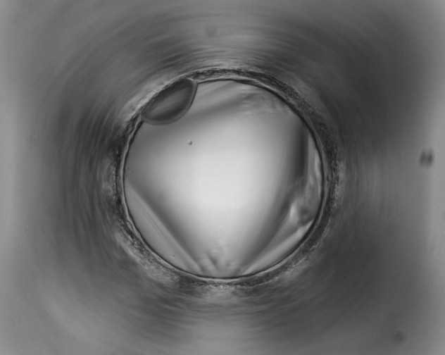 X0000114210969200911201019