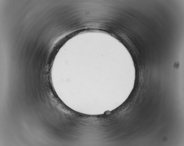 X0000114210971200911201019