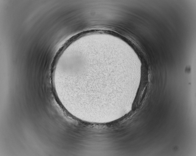 X0000114210972200911201019