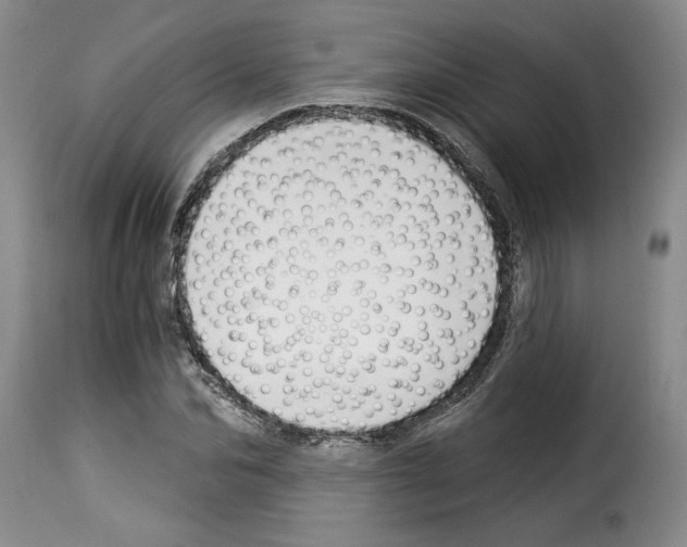 X0000114210974200911201019