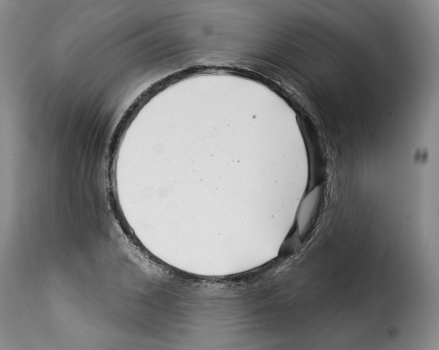 X0000114210976200911201019