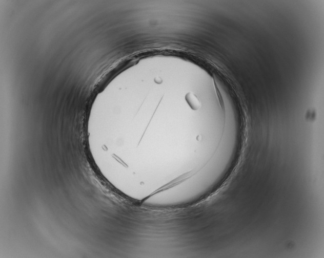 X0000114210977200911201019
