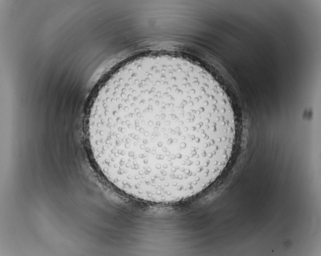 X0000114210978200911201019