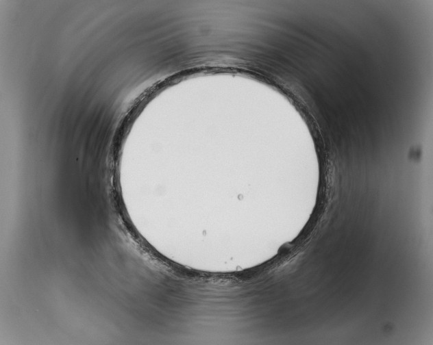 X0000114210979200911201019