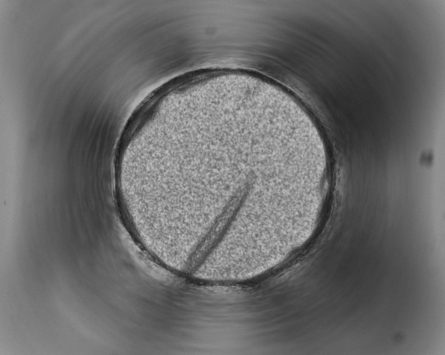 X0000114210980200911201019