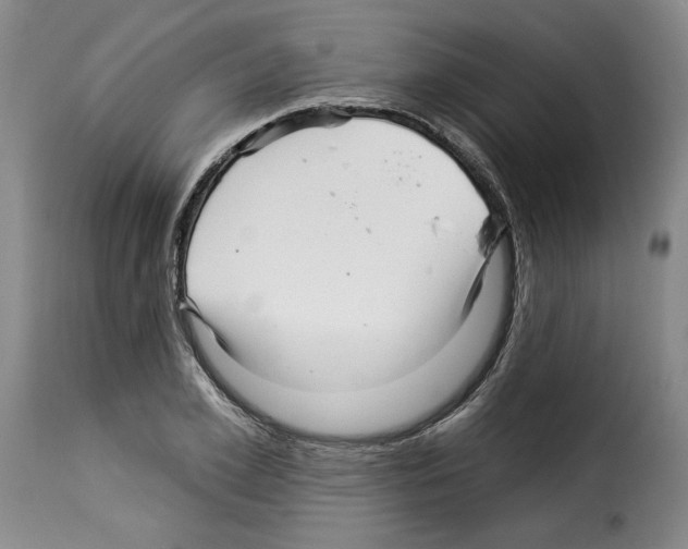 X0000114210981200911201019