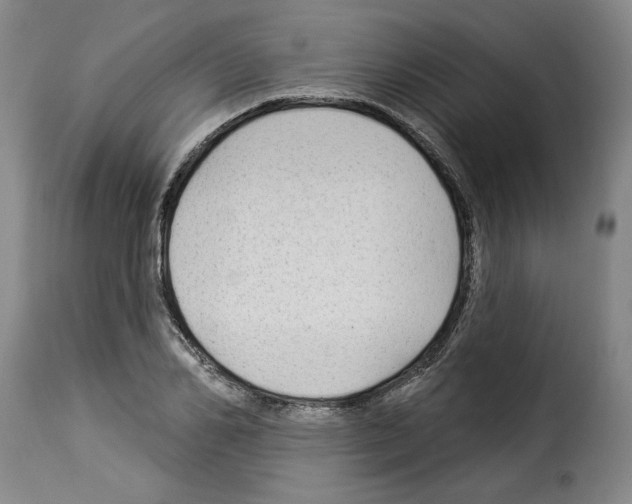 X0000114210982200911201019