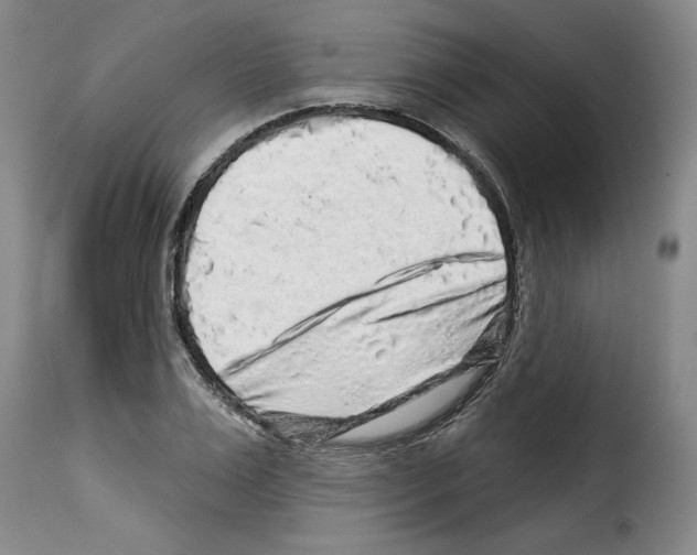 X0000114210983200911201019
