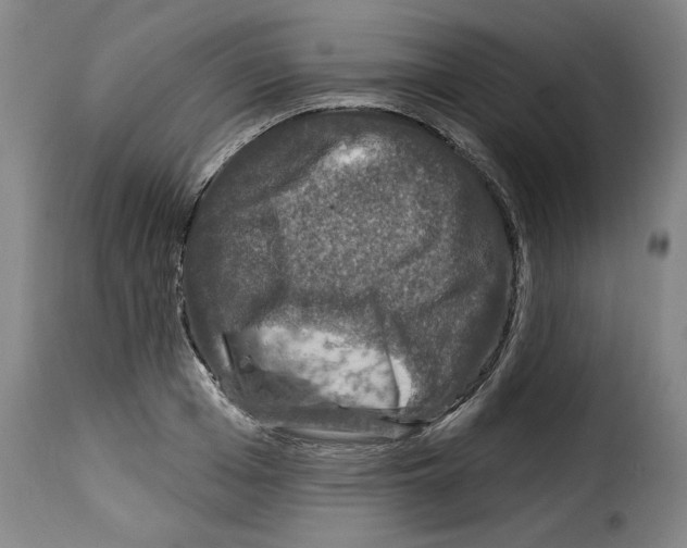 X0000114210985200911201019