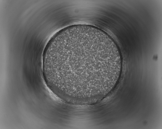 X0000114210988200911201019