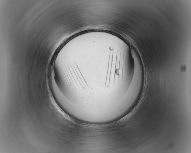 X0000114210989200911201019