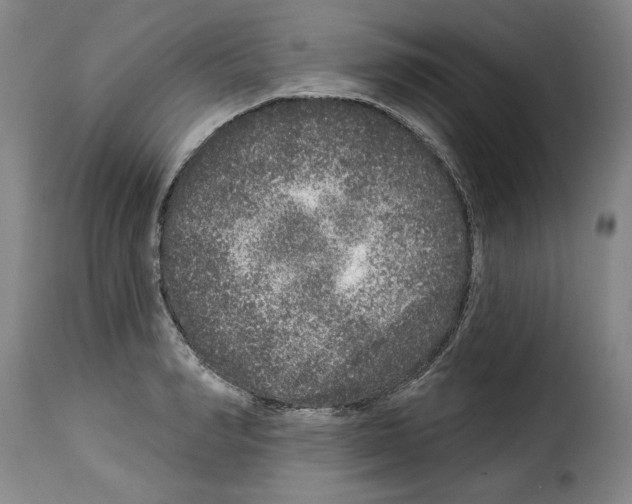 X0000114210990200911201019