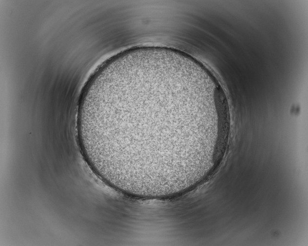 X0000114210992200911201019