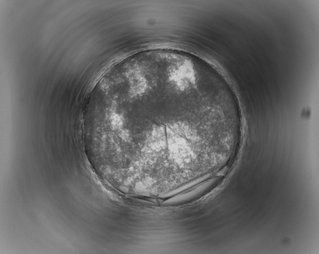 X0000114210993200911201019