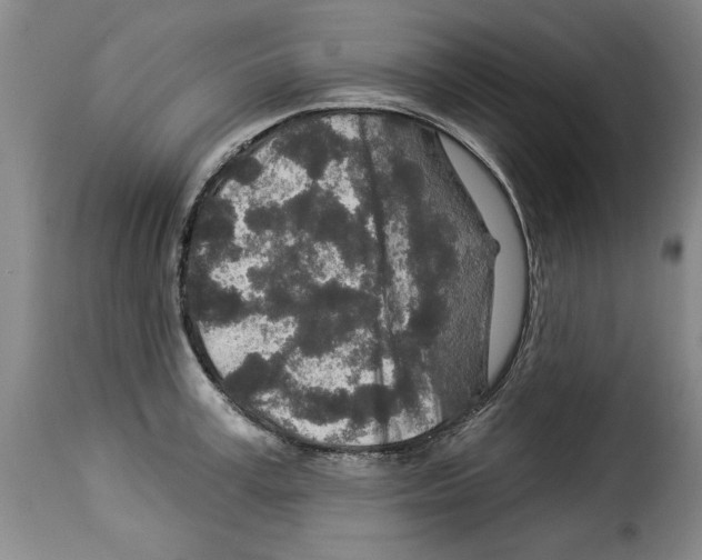 X0000114210995200911201019