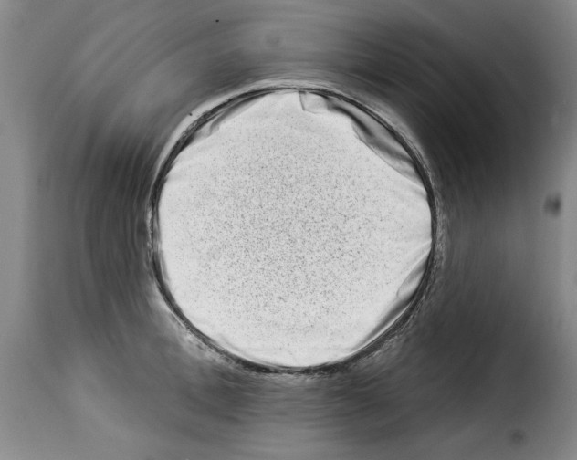X0000114210996200911201019