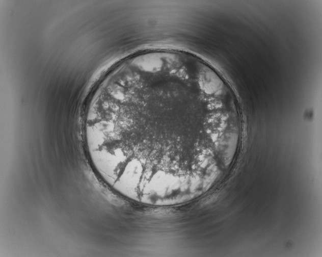 X0000114210998200911201018