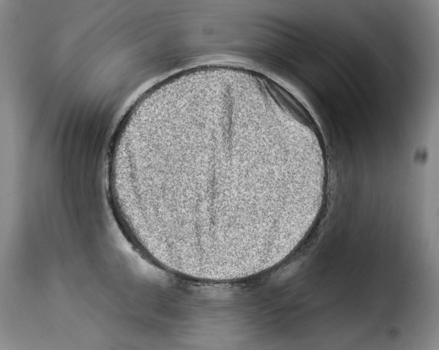 X0000114210999200911201018