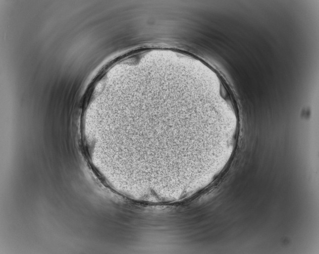 X0000114211000200911201018