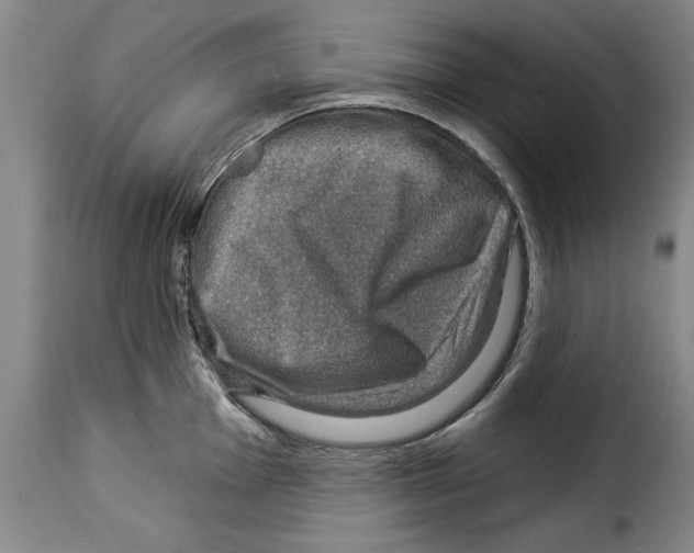 X0000114211001200911201018