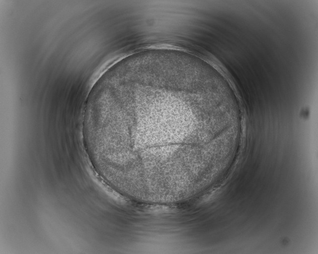 X0000114211002200911201018