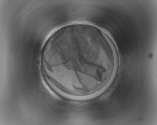 X0000114211005200911201018