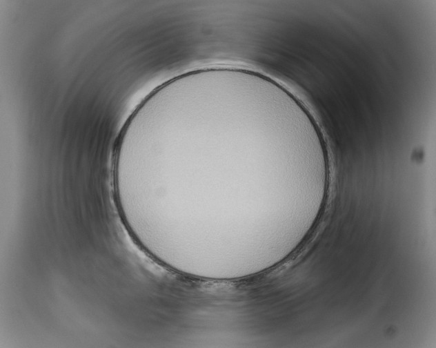 X0000114211006200911201018