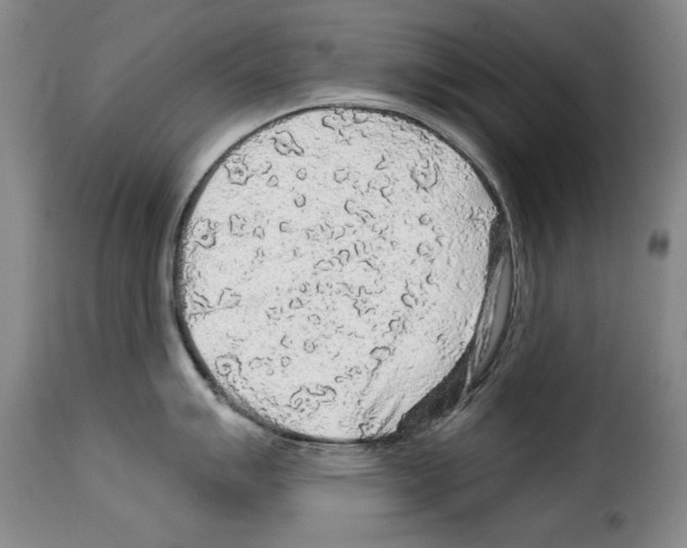 X0000114211007200911201018