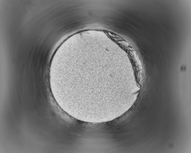 X0000114211008200911201018