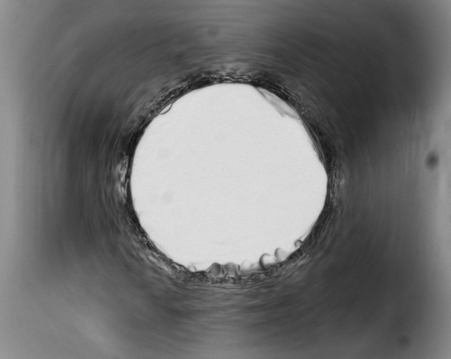 X0000114211010200911201018