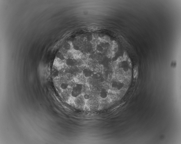 X0000114211011200911201018
