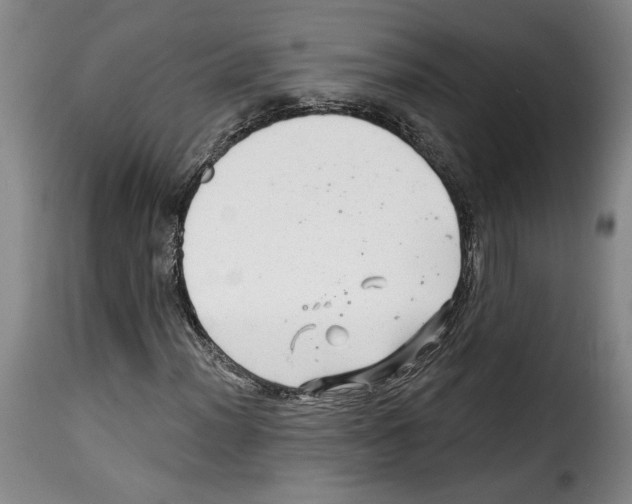 X0000114211012200911201018