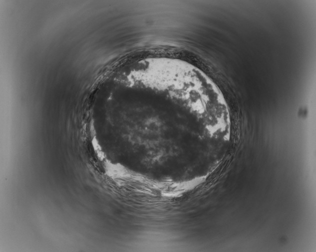 X0000114211013200911201018