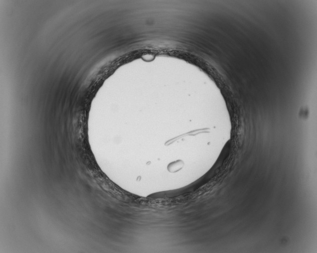 X0000114211016200911201018