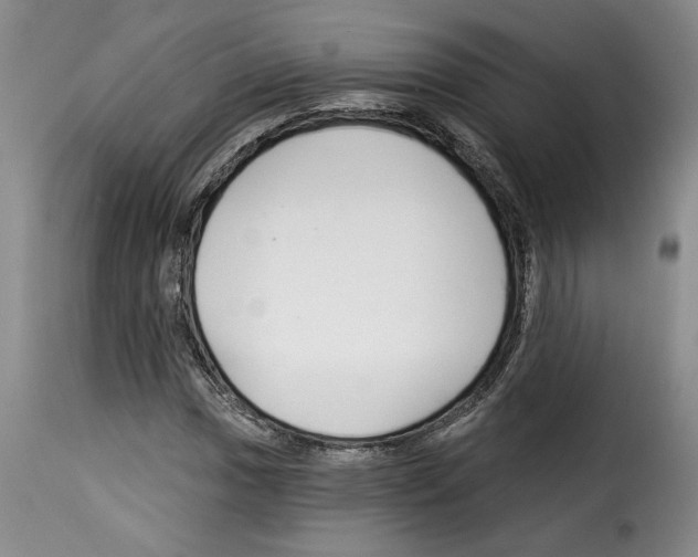 X0000114211017200911201018