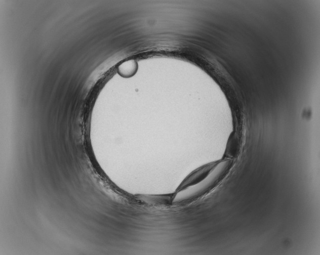X0000114211018200911201018