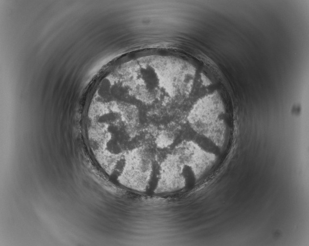 X0000114211019200911201018