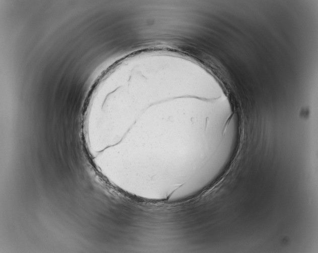 X0000114211020200911201018