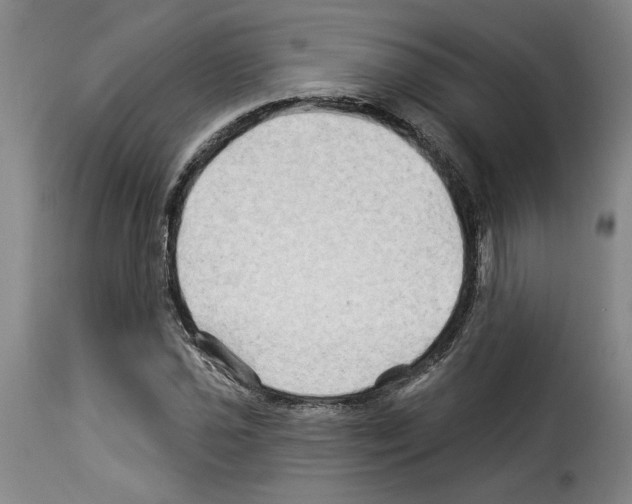 X0000114211021200911201018