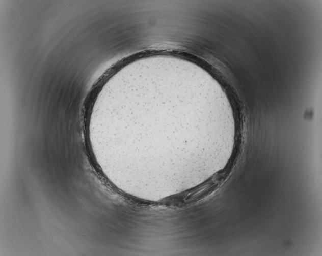 X0000114211022200911201018