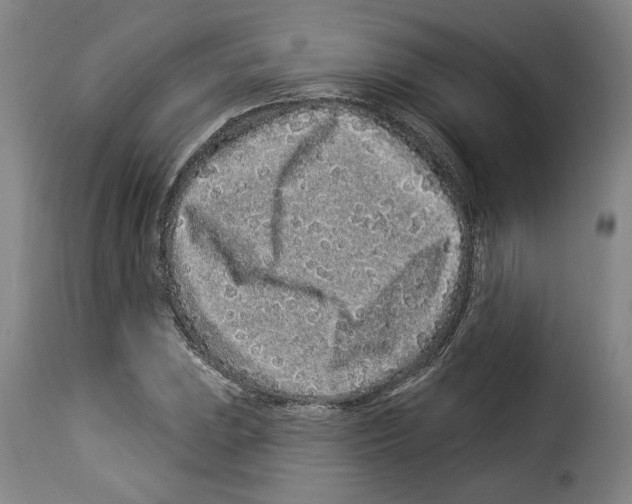 X0000114211023200911201018
