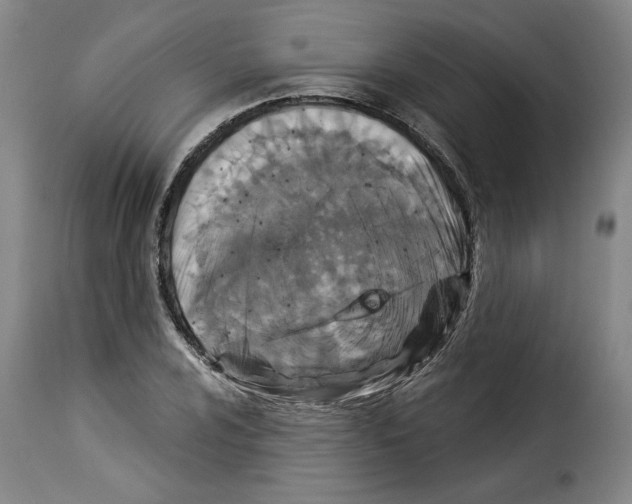 X0000114211024200911201018