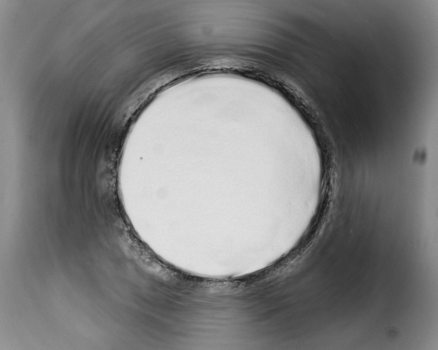 X0000114211025200911201018