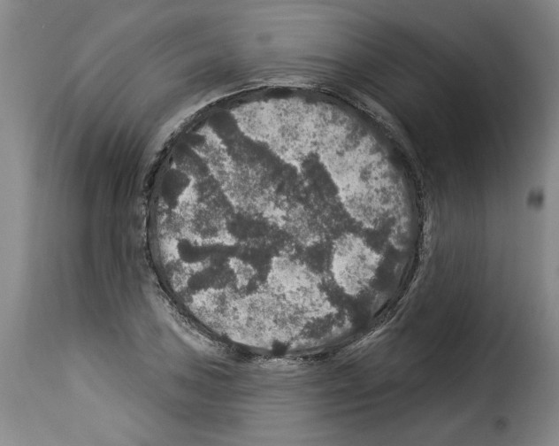 X0000114211027200911201018