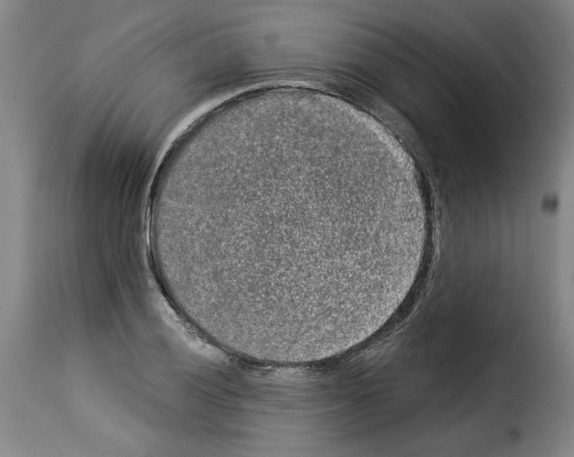 X0000114211028200911201018